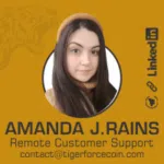 Remote Customer Support